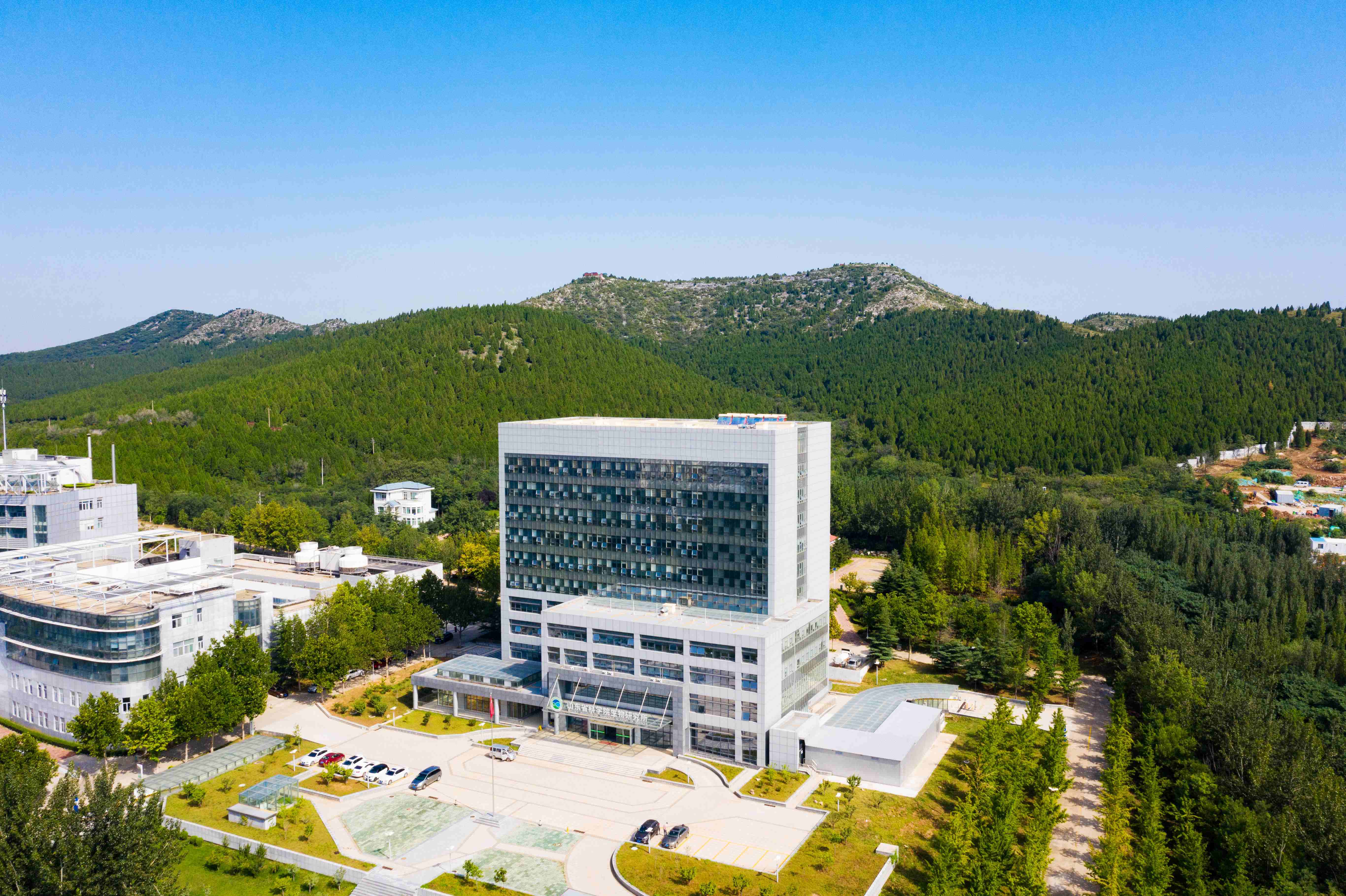 新大楼全景 